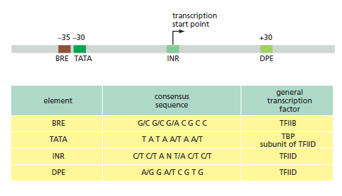 Figure 6-16.png